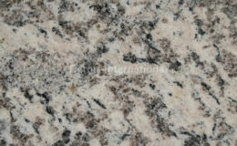 Tiger Skin White