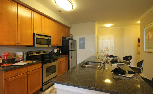 THE MORGAN APARTMENTS  (4)