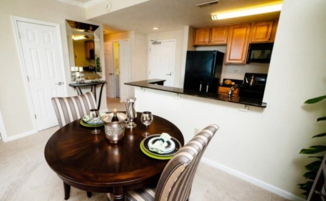 The Cosmopolitan Virginia Beach Apartments (4)